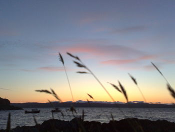 Scenic view of sea at sunset