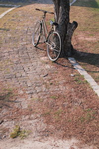 Low section of bicycles on bicycle