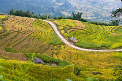 High angle view of agricultural field