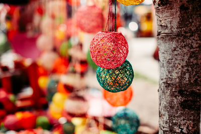 Close-up of fruits hanging on tree trunk