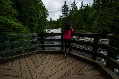 Rear view of woman standing on footbridge against trees