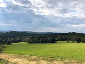 Scenic view of trees on field against sky