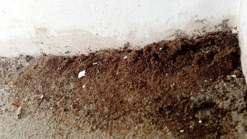 Full frame shot of mud on wall