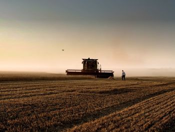 Scenic view of agricultural field against sky during sunset