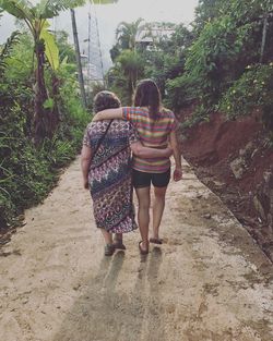 Rear view of women walking in park