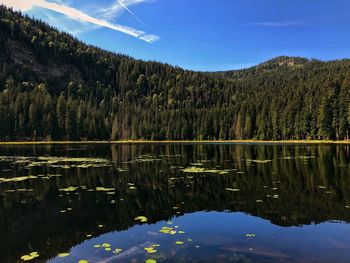 Scenic view of lake in forest against sky