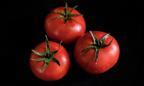 Close-up of tomatoes against black background