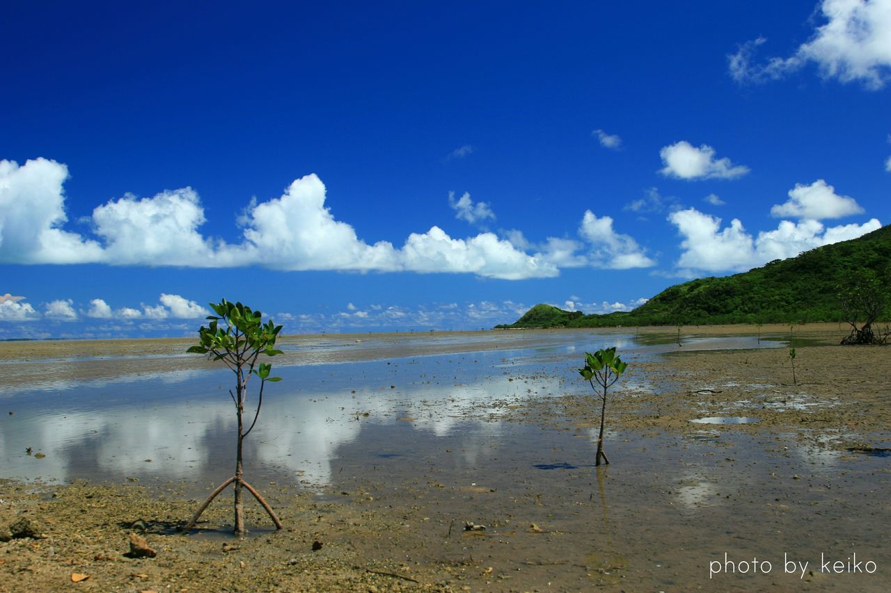 water, tranquil scene, sky, tranquility, scenics, sea, beauty in nature, shore, nature, cloud - sky, horizon over water, cloud, idyllic, mountain, blue, calm, coastline, outdoors, non-urban scene, day, remote, vacations, lakeshore, plant, non urban scene, no people, landscape, tourism, cloudy, ocean, travel destinations