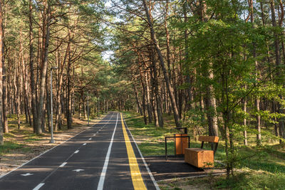 Road amidst trees in forest