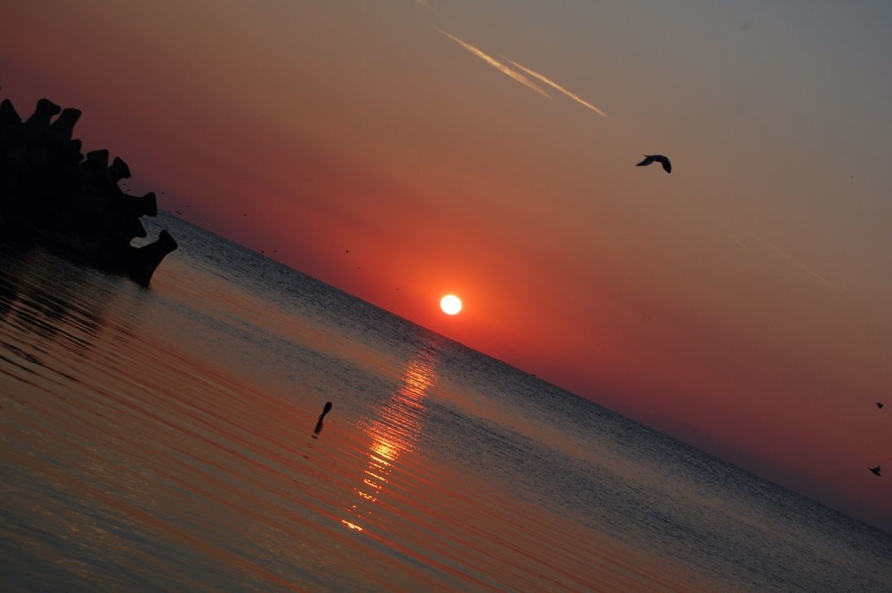 bird, flying, sunset, animal themes, animals in the wild, wildlife, sky, silhouette, orange color, mid-air, sun, scenics, flock of birds, beauty in nature, low angle view, nature, water, tranquility, tranquil scene