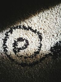 Close-up high angle view of leaves