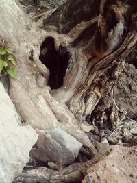 Full frame shot of stone wall