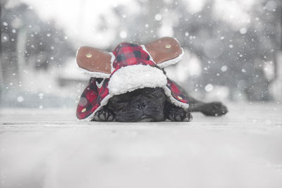 Full length of child on snow during winter