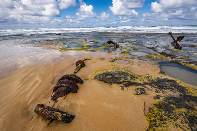 Debris of stranded ship scattered on wreck beach at victoria
