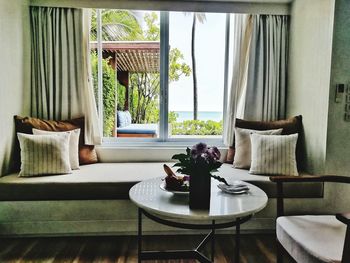 Potted plants on table at home