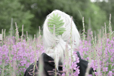 Close-up of flowers against blurred background