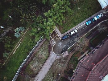 High angle view of bridge amidst trees