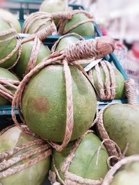 Close-up of pomelo fruit