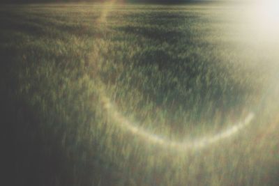 Defocused grassy field at night