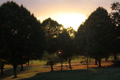 Silhouette trees on field against sky during sunset