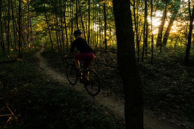 People riding bicycle in forest
