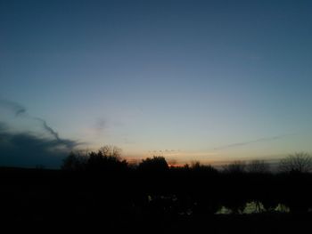 Silhouette of trees at sunset