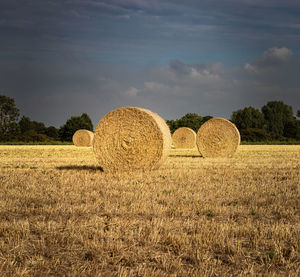 Hay bales on field