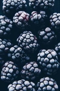Full frame shot of frozen blackberries