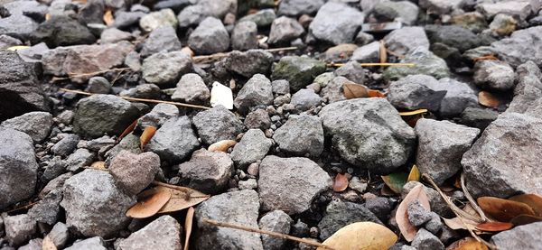 Full frame shot of rocks