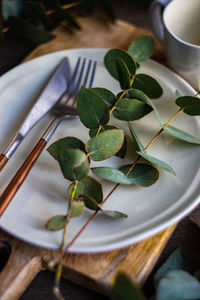 Place setting with fresh eucalyptus leaves on wooden table