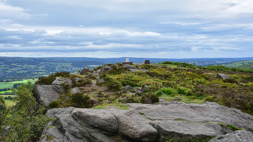 Plants growing on rocks against sky