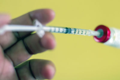 Close-up of hand holding yellow flower