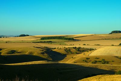 Scenic view of landscape against clear blue sky