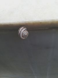 close-up