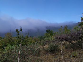 Scenic view of trees and mountains against sky