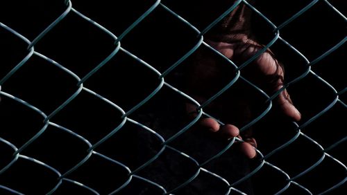 Close-up of person hand on chainlink fence