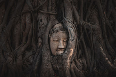 Sculpture of buddha statue on tree trunk