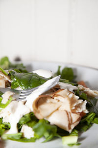 Close-up of meal served in plate