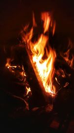 Close-up of bonfire at night