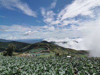 Scenic view of agricultural field against sky