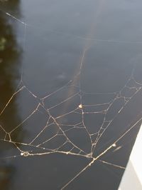 fragility