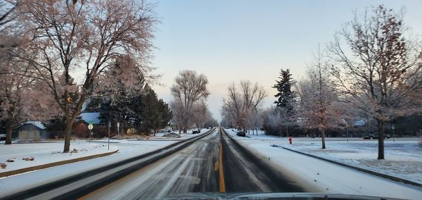 Road amidst trees against sky during winter