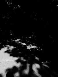 High angle view of silhouette trees on land