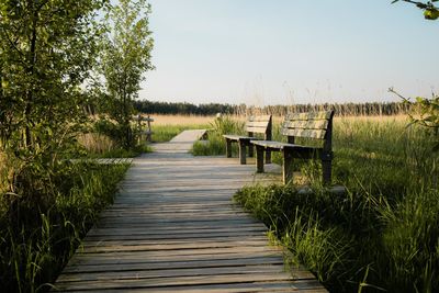 Empty wooden boardwalk amidst trees against sky