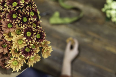 Close-up of flowering plant