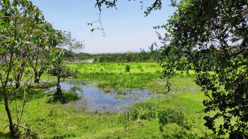 Scenic view of lake against sky