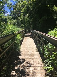 Wooden footbridge with trees in background