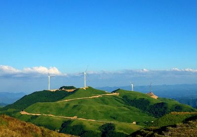 Wind turbines on grassy field