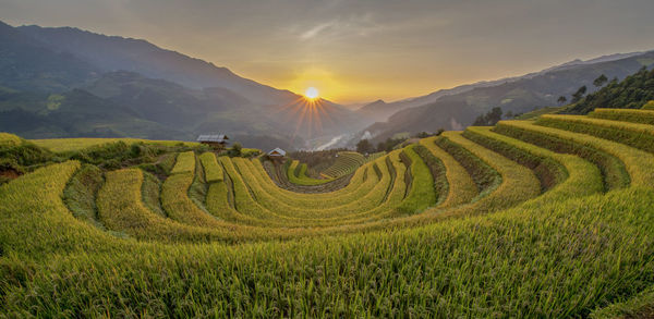 Scenic view of agricultural field against sky