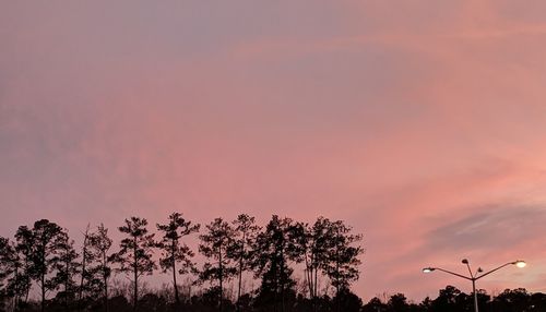 Low angle view of silhouette trees against sky during sunset